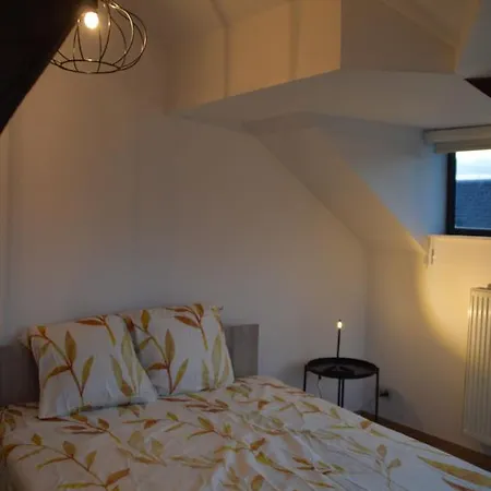 Appartement Evelyns Corner Duplex à Gand Extérieur photo